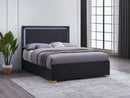 Marceline Panel Bed with LED Lighting