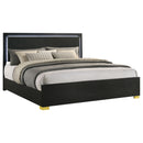 Marceline Panel Bed with LED Lighting