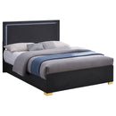 Marceline Panel Bed with LED Lighting