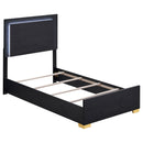Marceline Panel Bed with LED Lighting