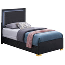 Marceline Panel Bed with LED Lighting