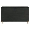 Arini Dresser