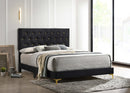 Kendall Upholstered Panel Bed