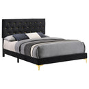 Kendall Panel Bed