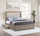 Kenora Panel Platform Storage Bed with LED Lighting