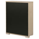 Ladera Chest of Drawers