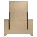 Oakglen Dresser with Mirror