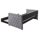 Mockern Daybed with Trundle