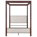 Zimmerlee Canopy Panel Bed