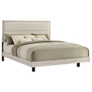 Trenton Panel Bed