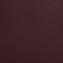 Armstrong Power Lift Massage Recliner