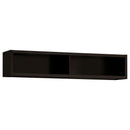 Lewes Entertainment Center