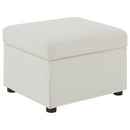 Winter Storage Ottoman