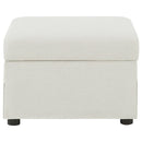 Winter Storage Ottoman