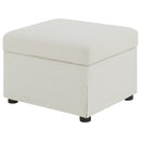 Winter Storage Ottoman