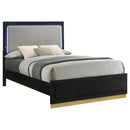 Caraway Panel Bed with LED Lighting