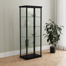 Aero Curio Cabinet with LED Lighting
